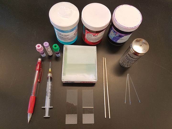 Diagnostic Blood Smear Preparation Clinician's Brief