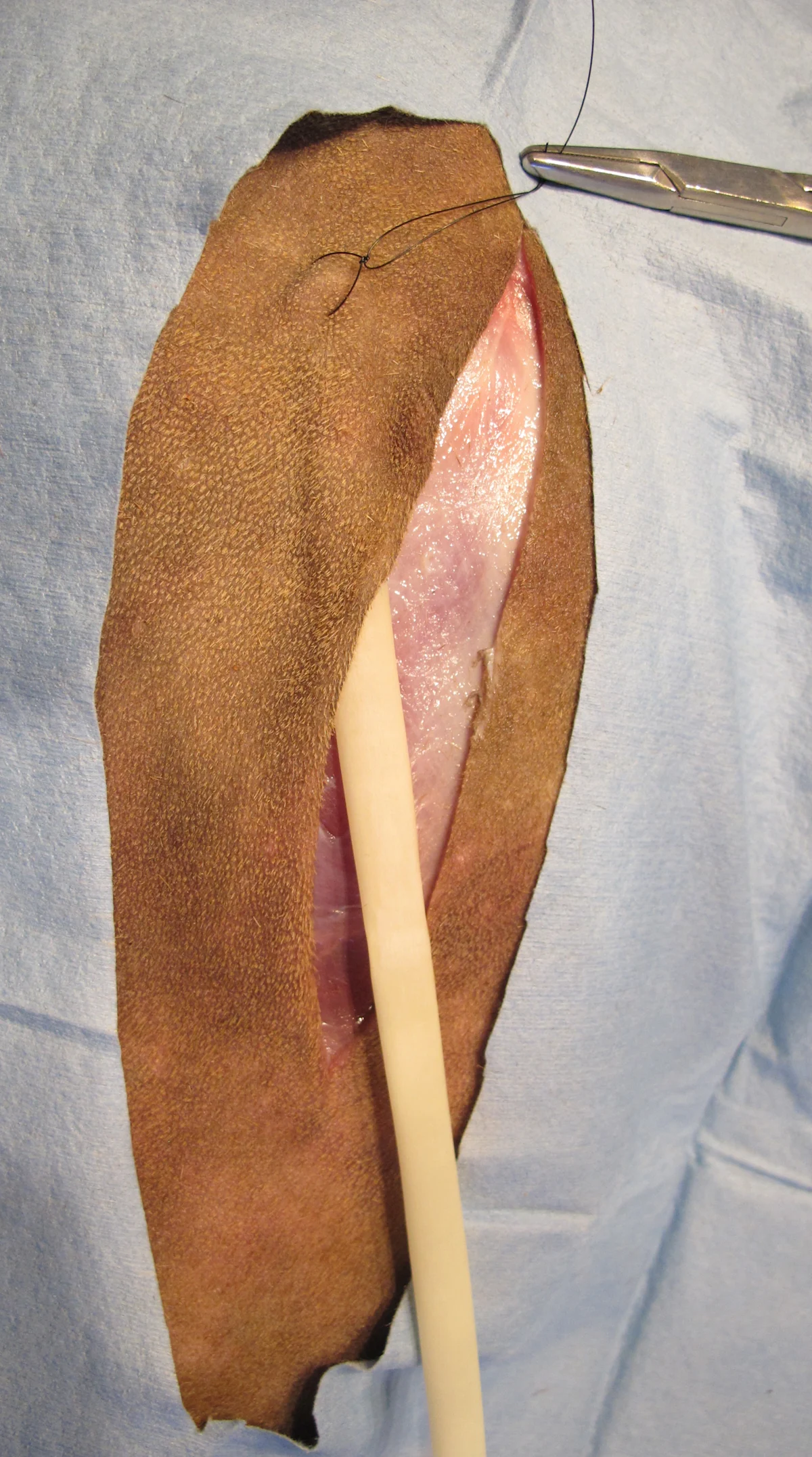 selected slide image