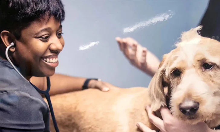 a Black woman uses a stethoscope on a dog