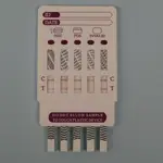 A veterinary diagnostic test device displaying multiple test lines for detecting specific substances in a sample. The device features labeled sections for control and test results, indicating the presence or absence of the target analytes.