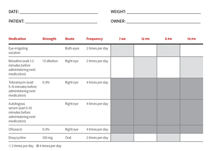 An example of a drug information sheet in tabular format.