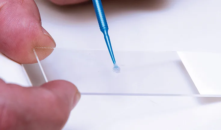 Fingers holding glass slide while microbrush is placed against its surface.
