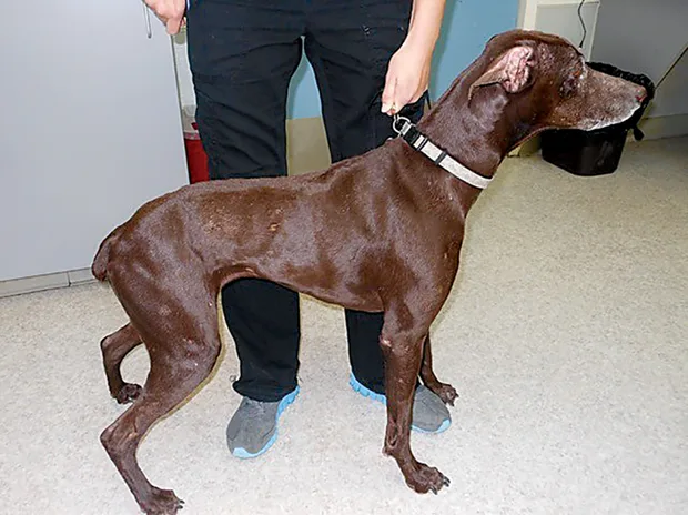 selected slide image