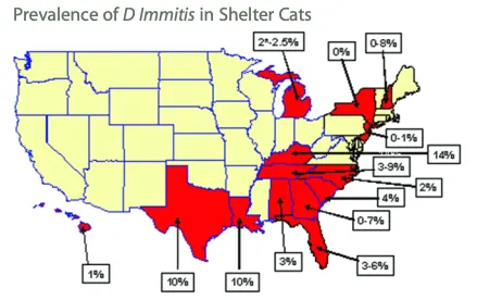 selected slide image