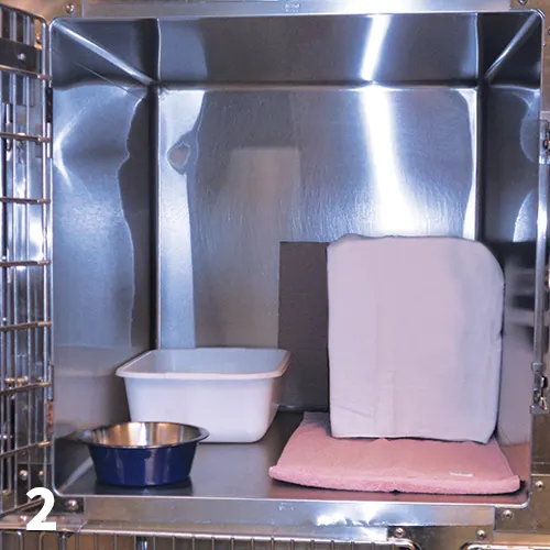 Open kennel cage with litter box, food bowl, and covered box on top of pad inside.