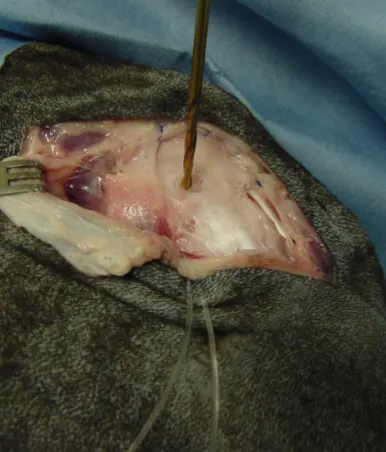 selected slide image