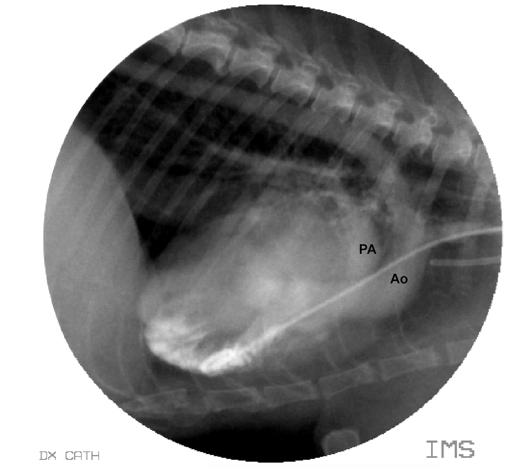 Featured Image