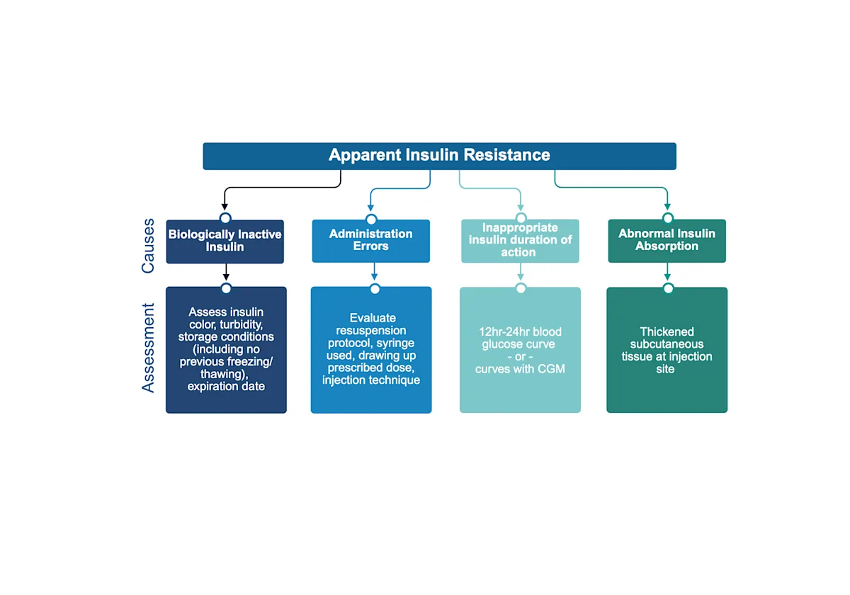 Flowchart showing causes and assessment of apparent insulin resistance.