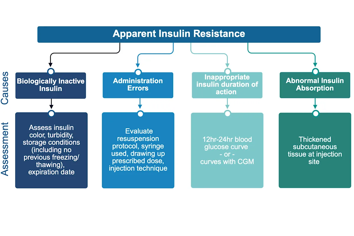 Flowchart showing causes and assessment of apparent insulin resistance.