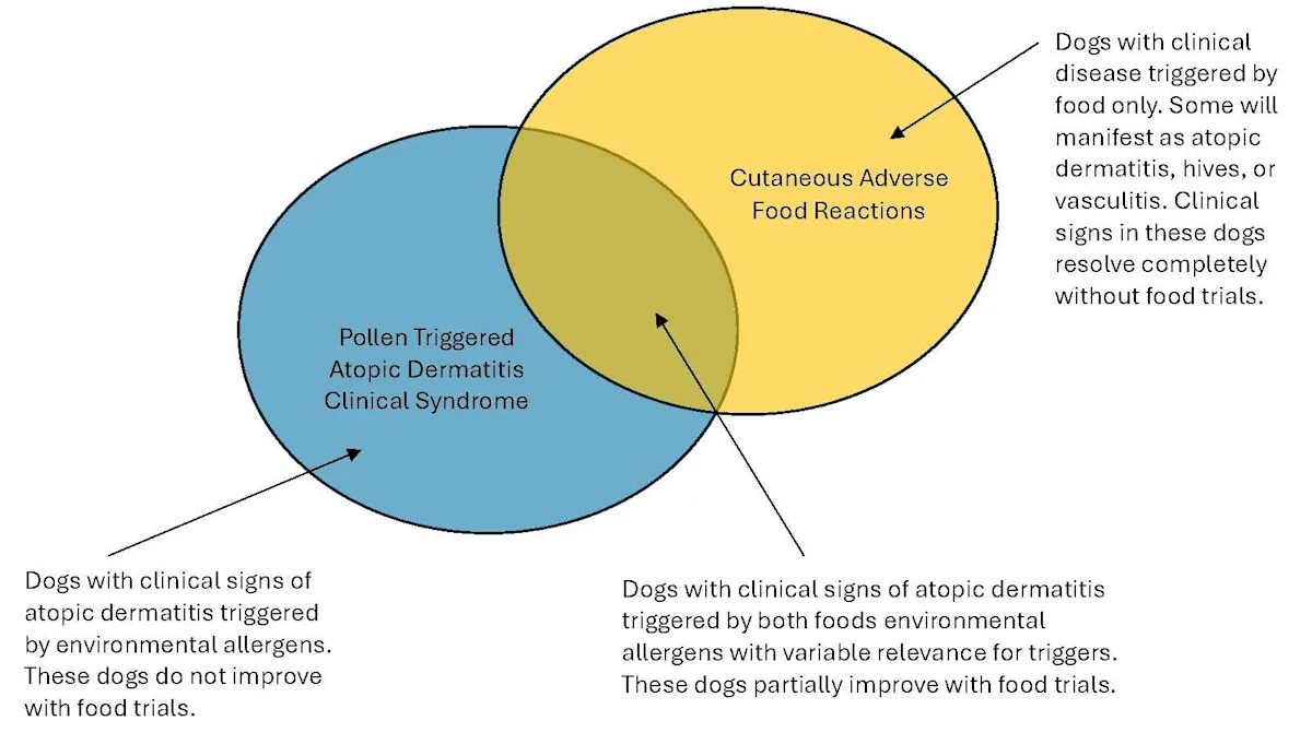Venn diagram showing language definitions.