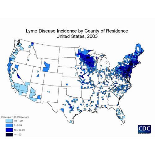 Lyme Disease in Dogs Clinician's Brief