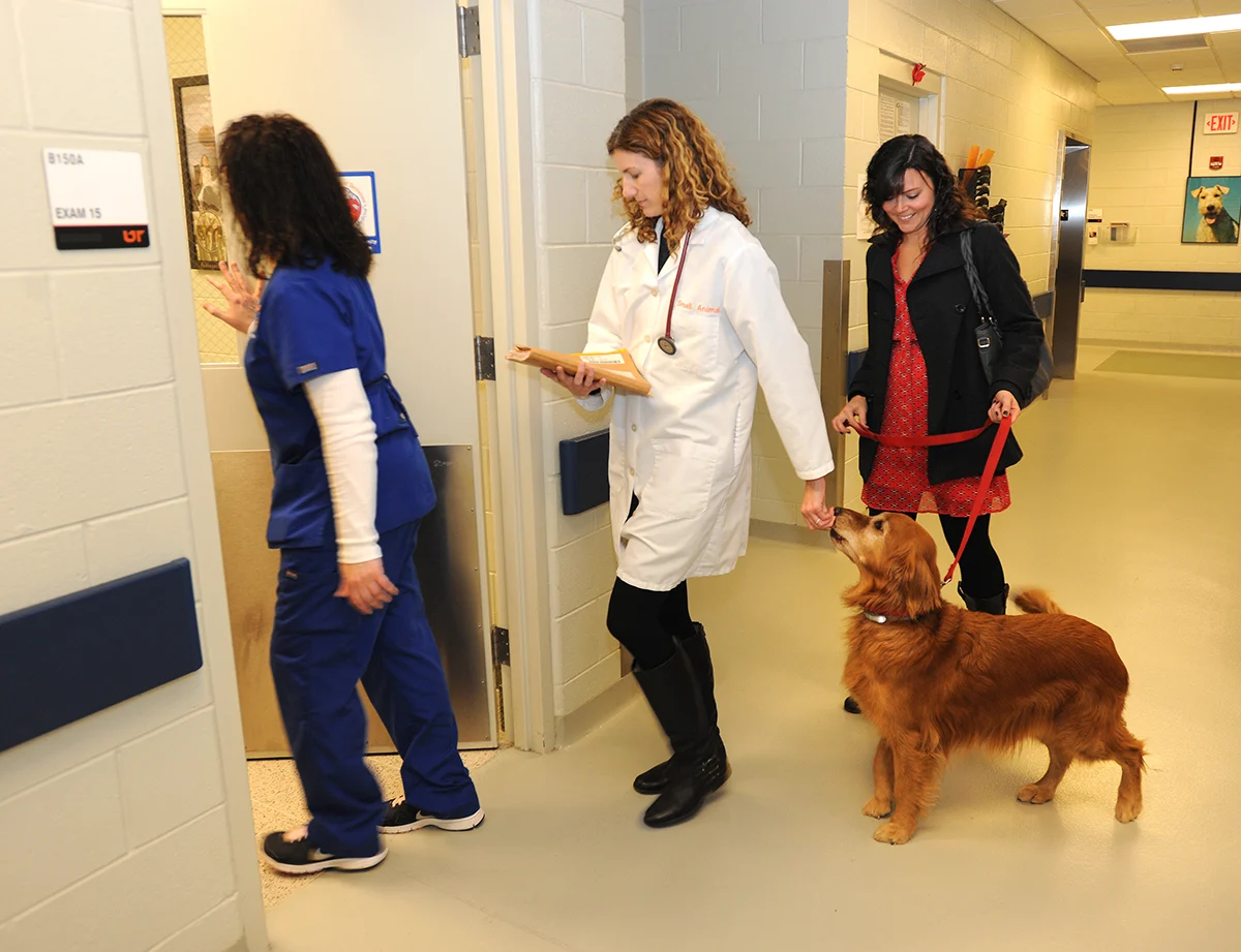 selected slide image