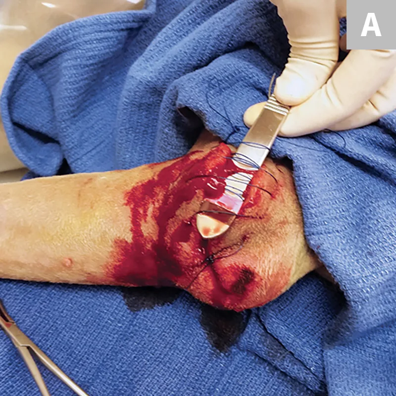 selected slide image