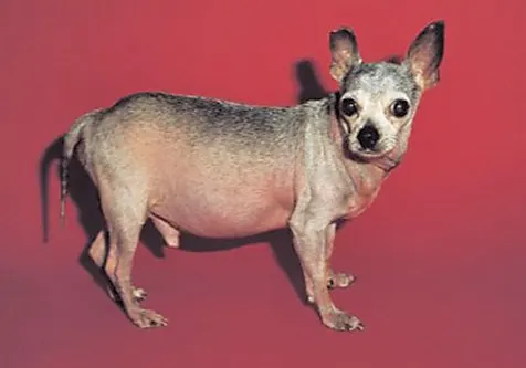 selected slide image