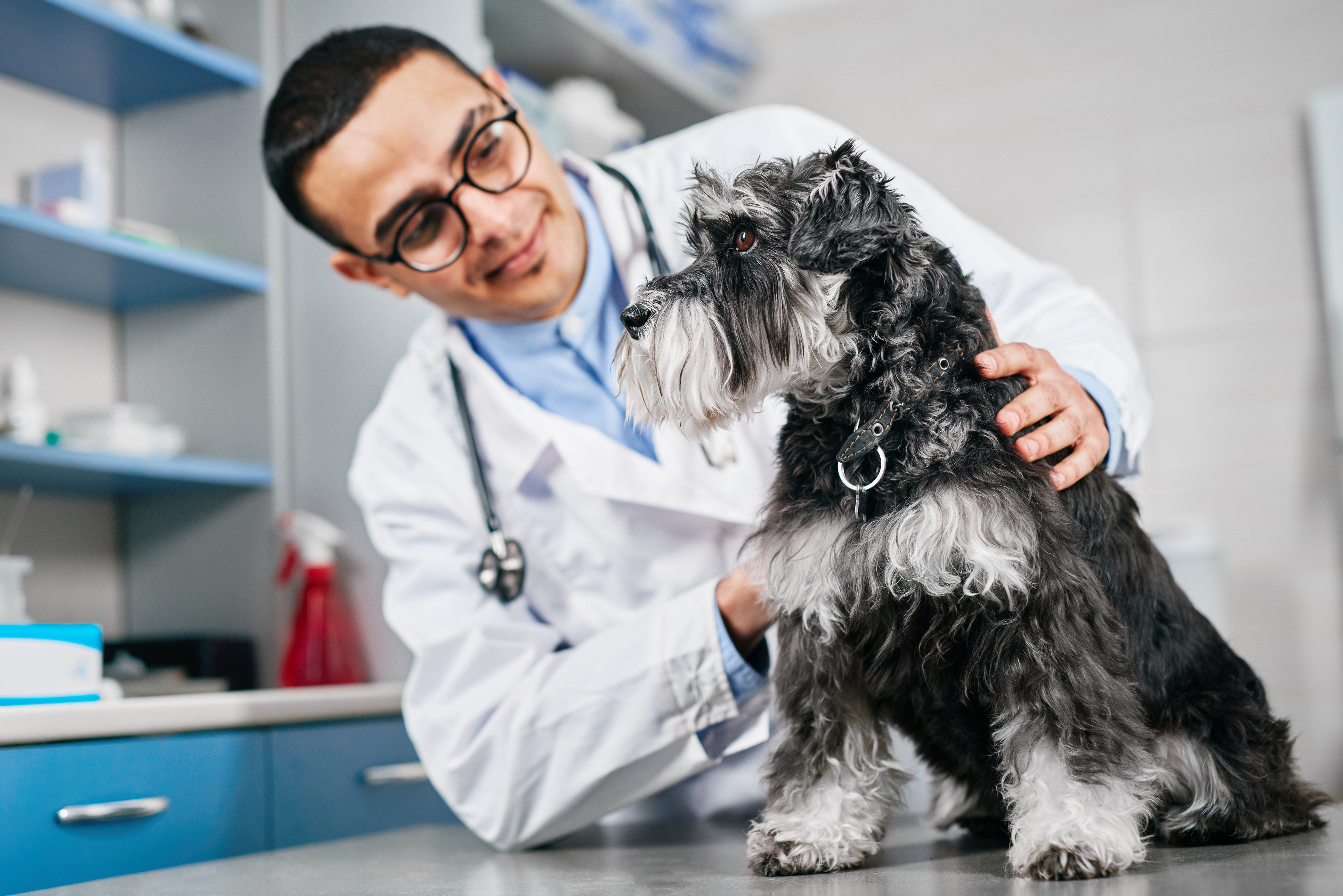 Resources for Veterinary Students