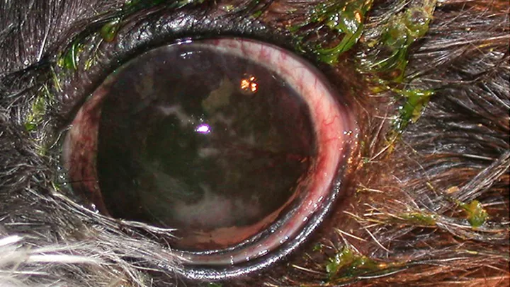 Featured Image