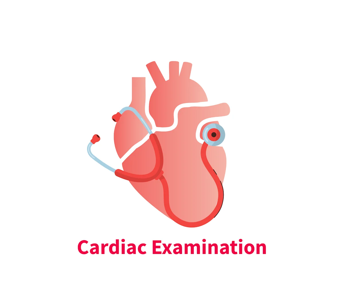 A stylized illustration of a heart with a stethoscope positioned on it, symbolizing a cardiac examination. The heart is depicted in a light pink color, while the stethoscope is shown in blue, emphasizing the clinical focus on cardiovascular health.