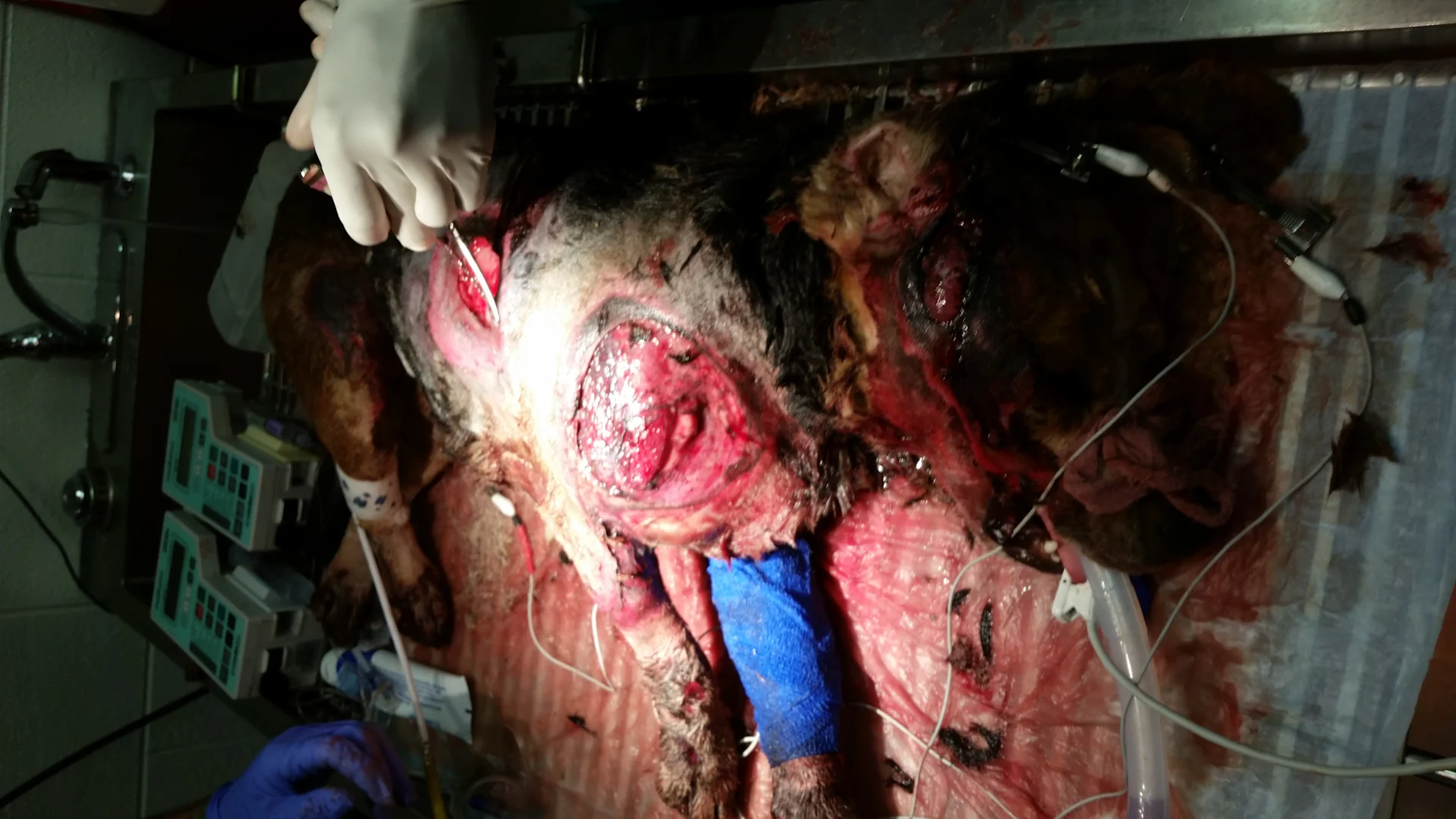 selected slide image