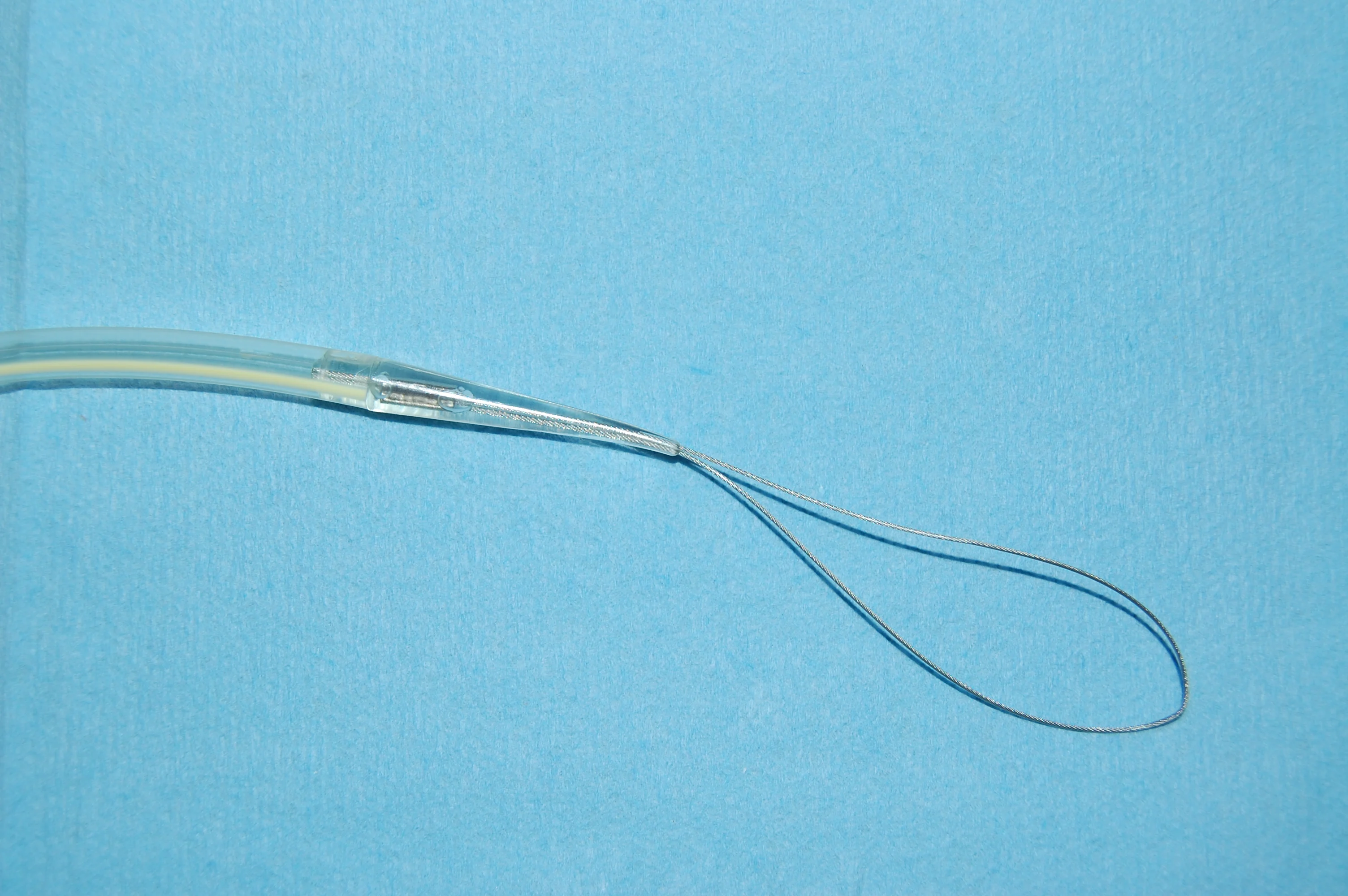 Featured Image
