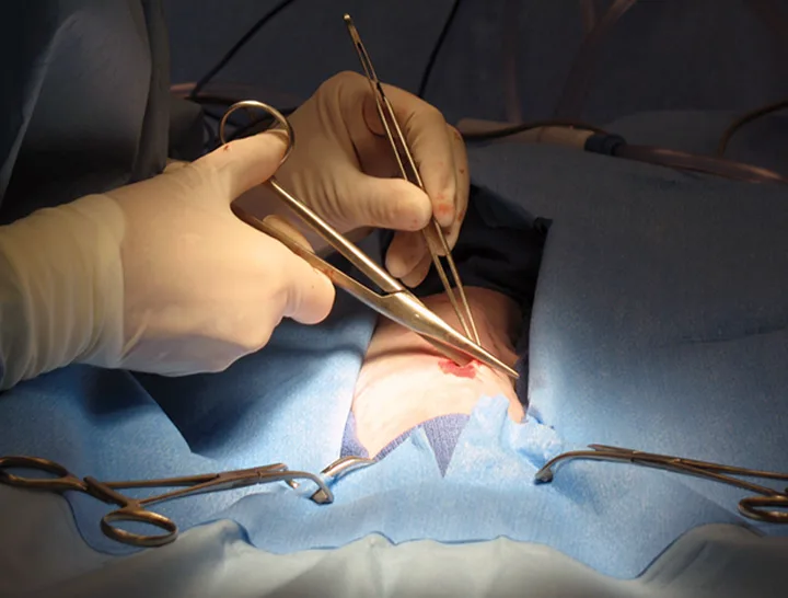 selected slide image