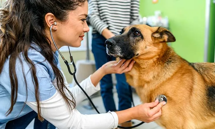 Clinical Notes 4, Cobalamin Deficiency, Opening Image.jpg