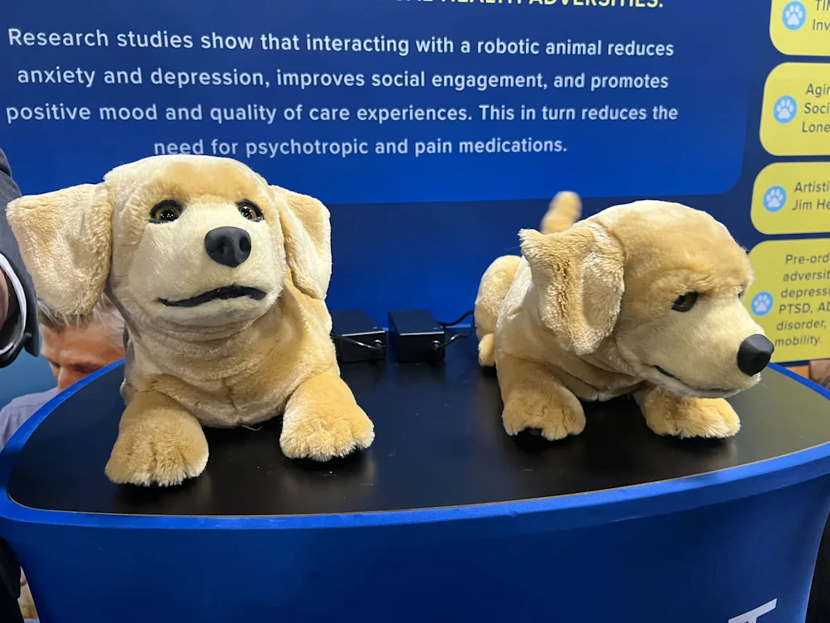 selected slide image