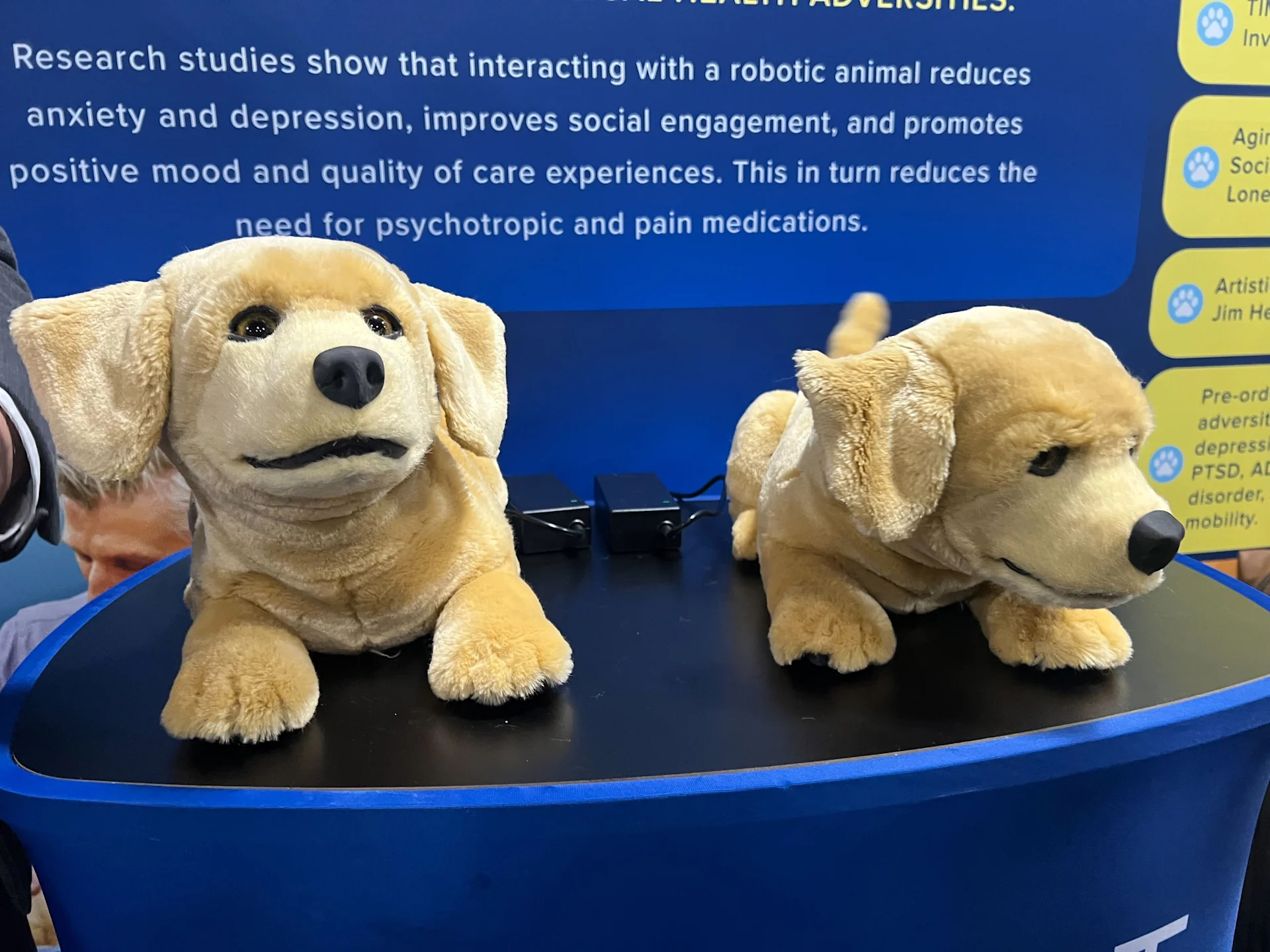 selected slide image