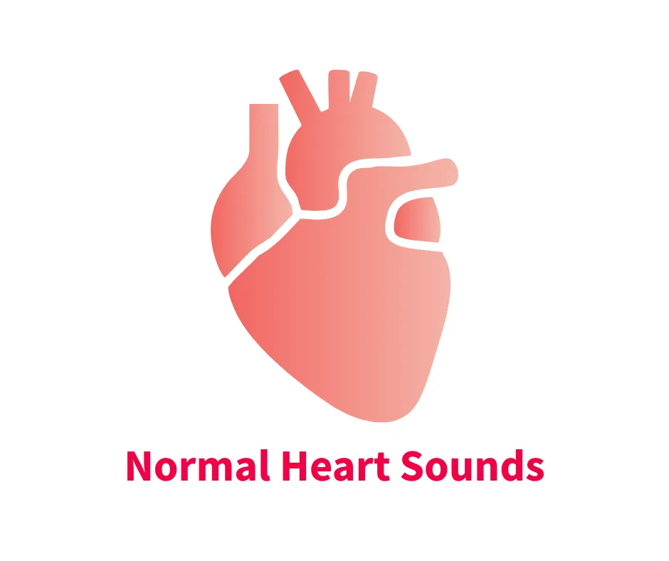A stylized illustration of a heart, depicting its anatomical structure, is accompanied by the text "Normal Heart Sounds" in bold red lettering. The design emphasizes the importance of understanding heart sounds in veterinary medicine.