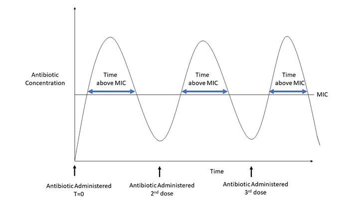 Graph showing antibiotic concentration over time in relation to MIC for time-dependent antibiotics.