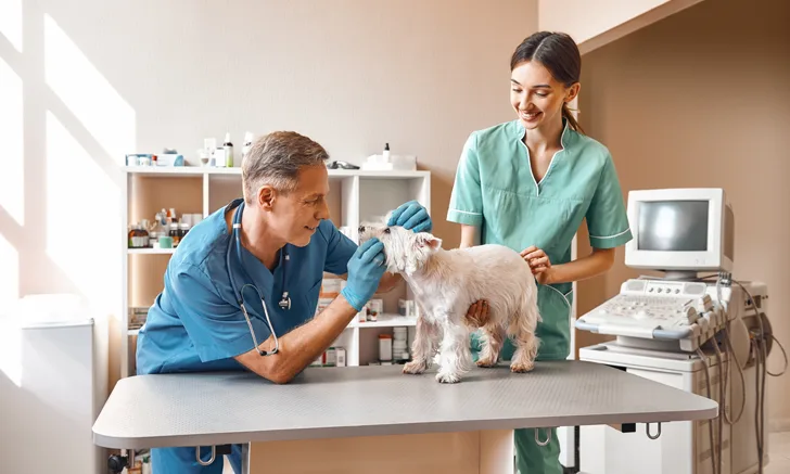 two generations working together in a vet clinic