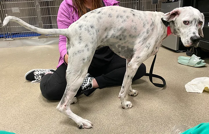 selected slide image