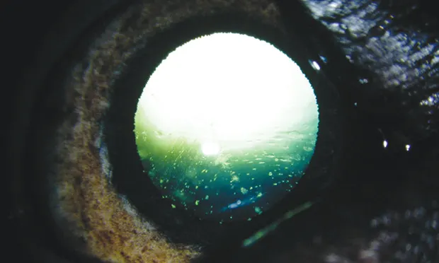 Featured Image