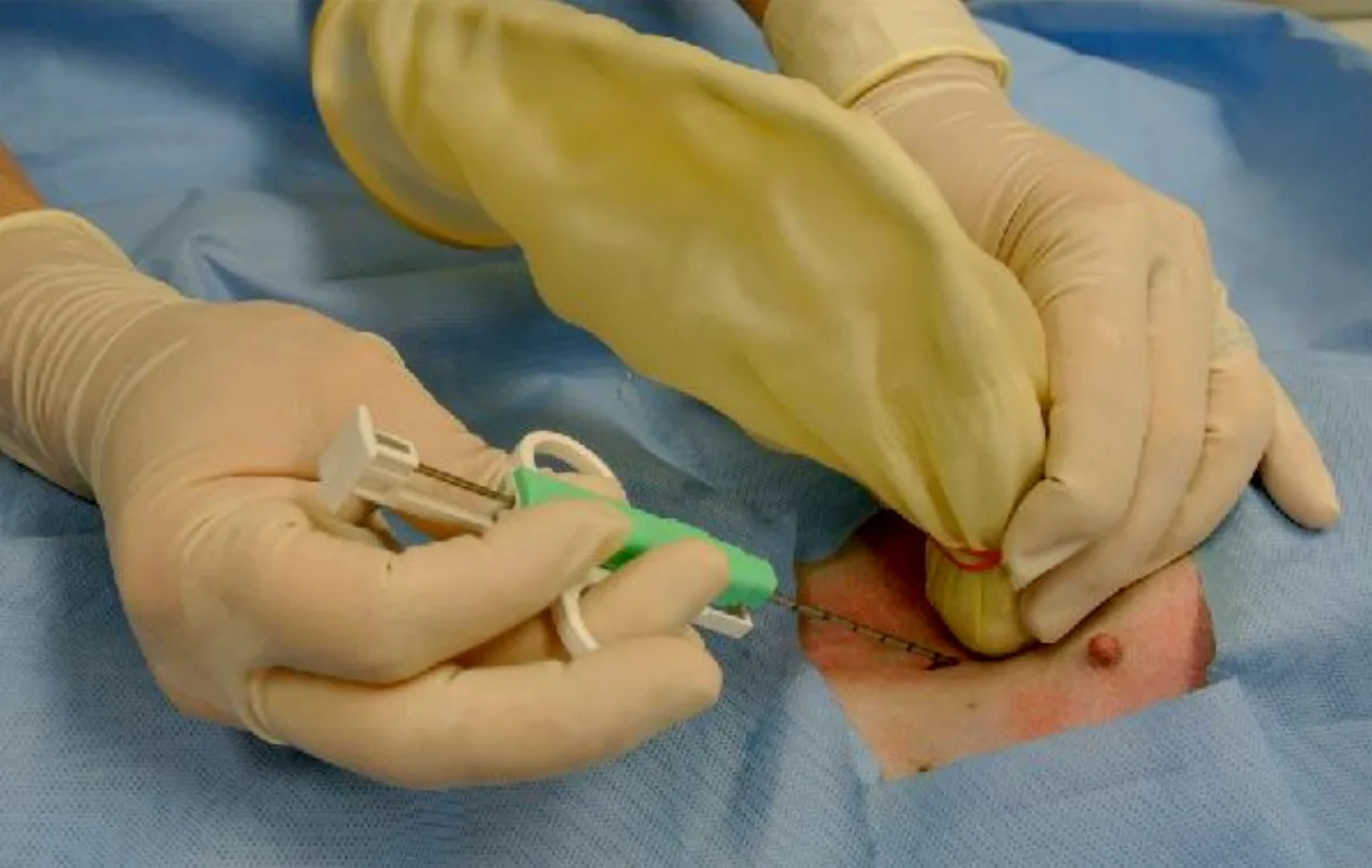 selected slide image