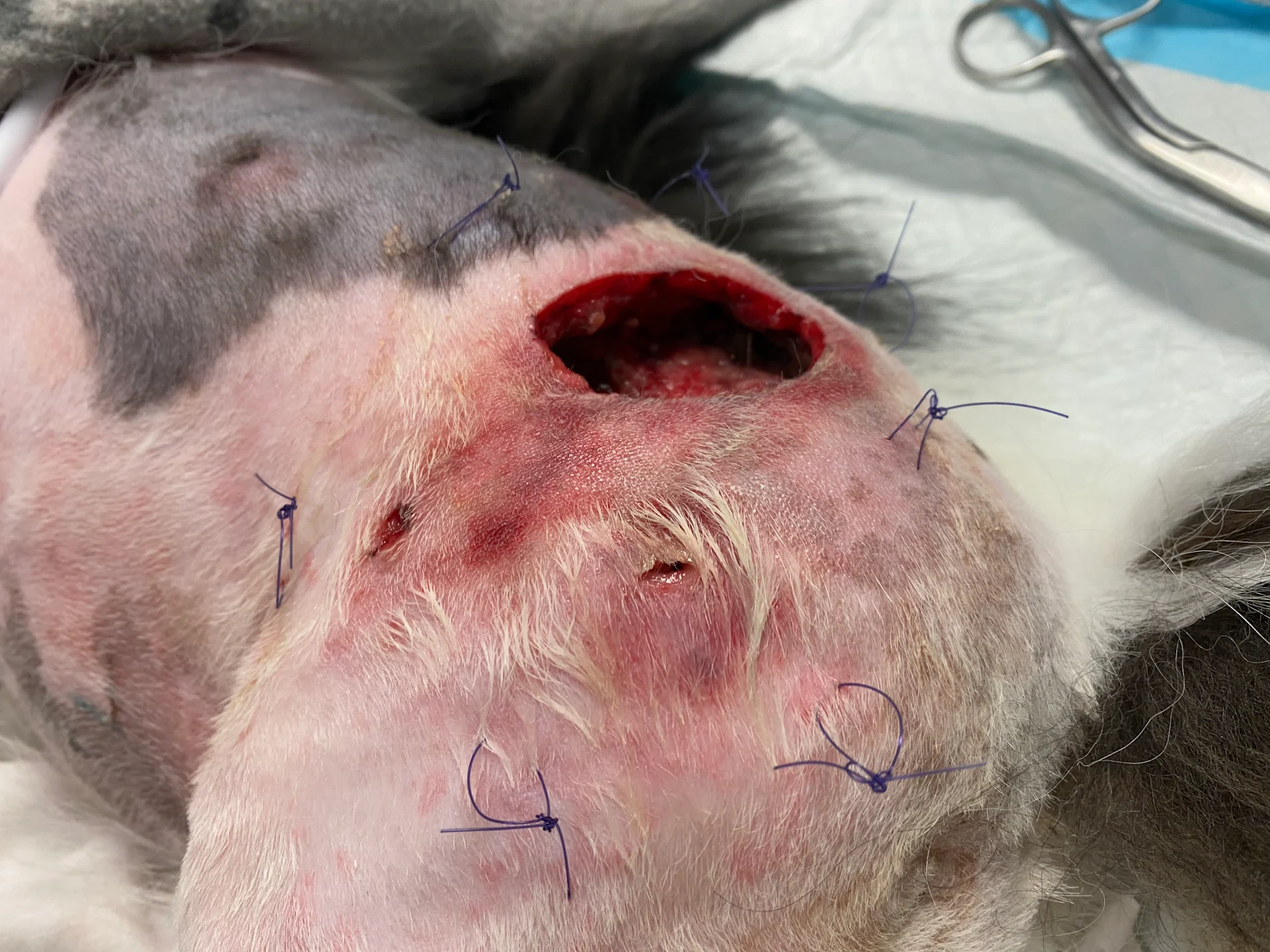 selected slide image