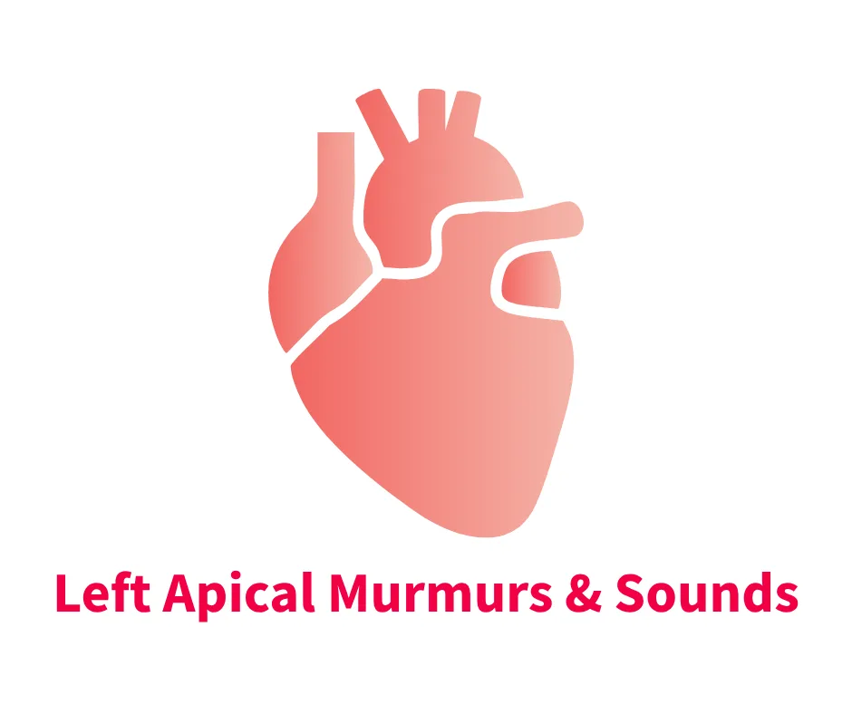 A stylized illustration of a feline heart, highlighting the left apical region, accompanied by text indicating "Left Apical Murmurs & Sounds." The design emphasizes the anatomical features relevant to veterinary cardiology.