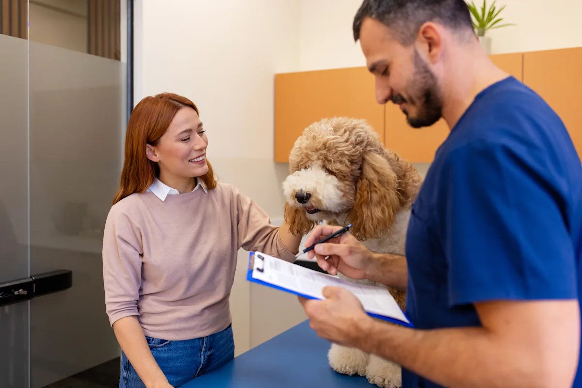 A veterinarian in scrubs examines a fluffy dog while a woman smiles and gently pets the dog. The setting is a veterinary clinic, with a clipboard in the veterinarian's hand and a calm atmosphere.