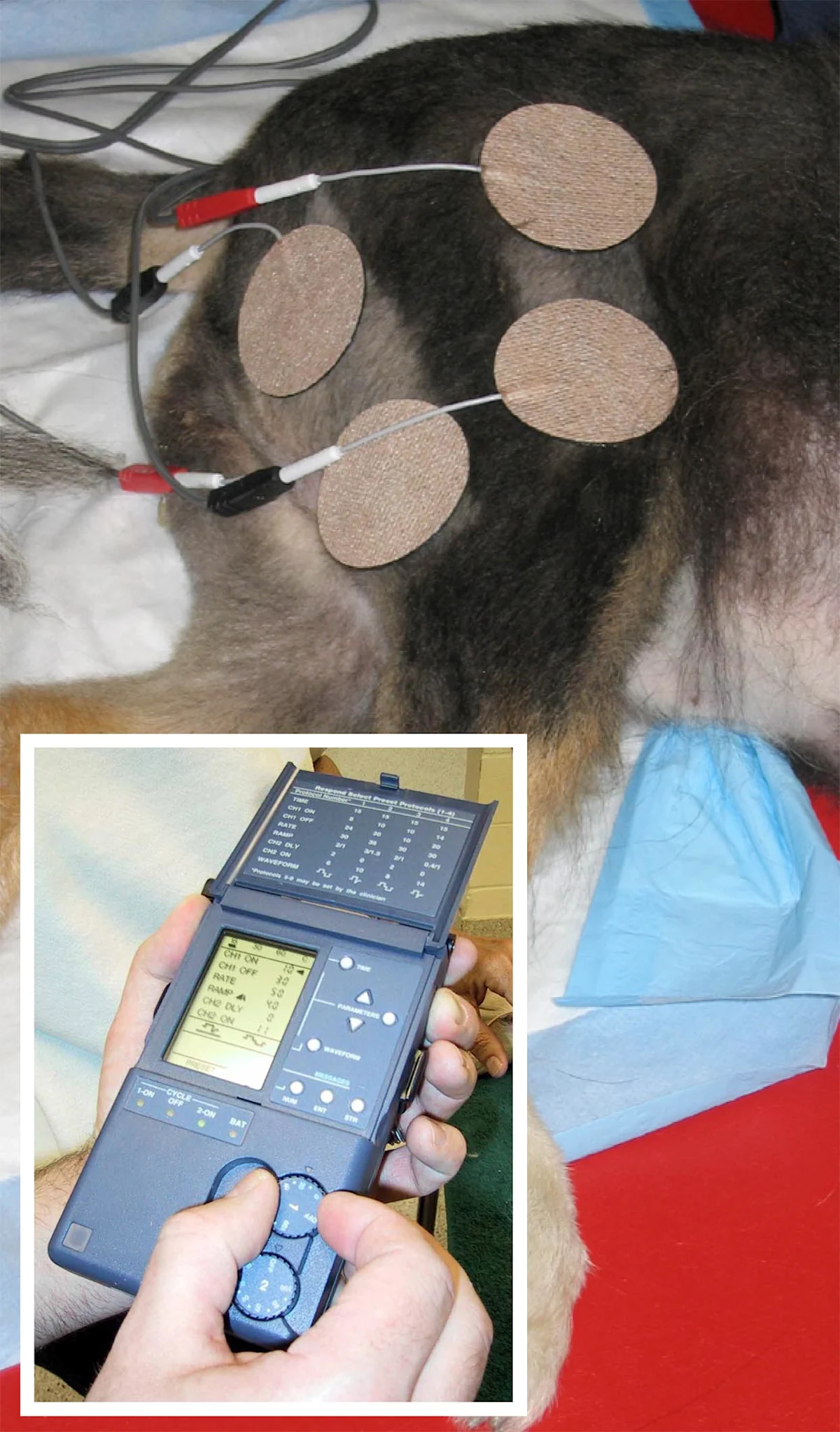 selected slide image