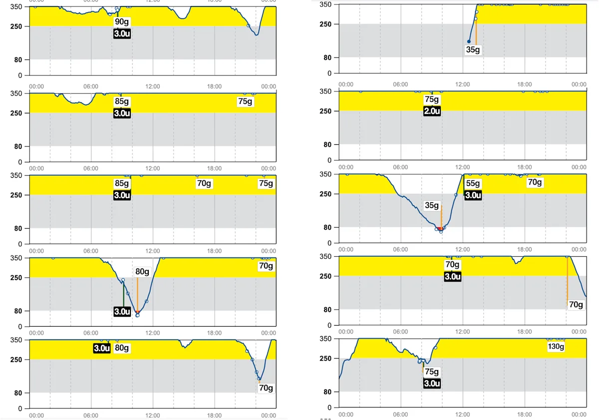Graphs of glucose measurement from a continuous glucose monitor in a dog.