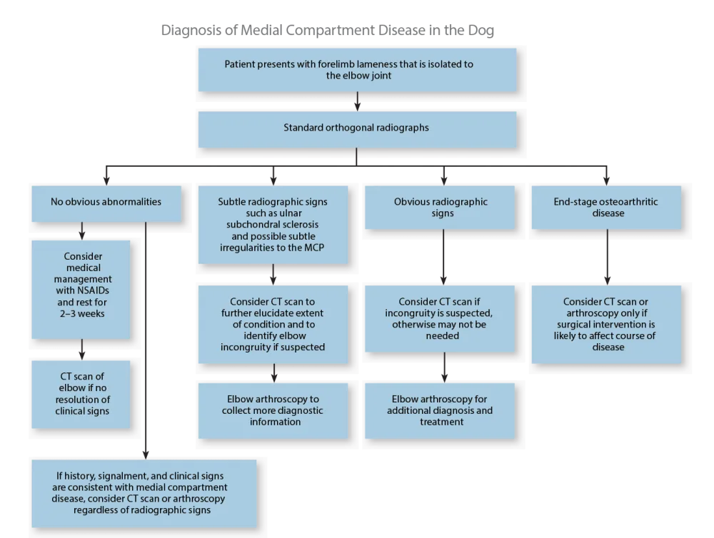 Diagnostic flowchart illustrating decision pathways to take when diagnosing medial compartment disease.