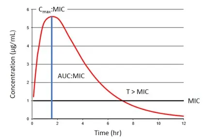 Graph depicting drug concentration over time.
