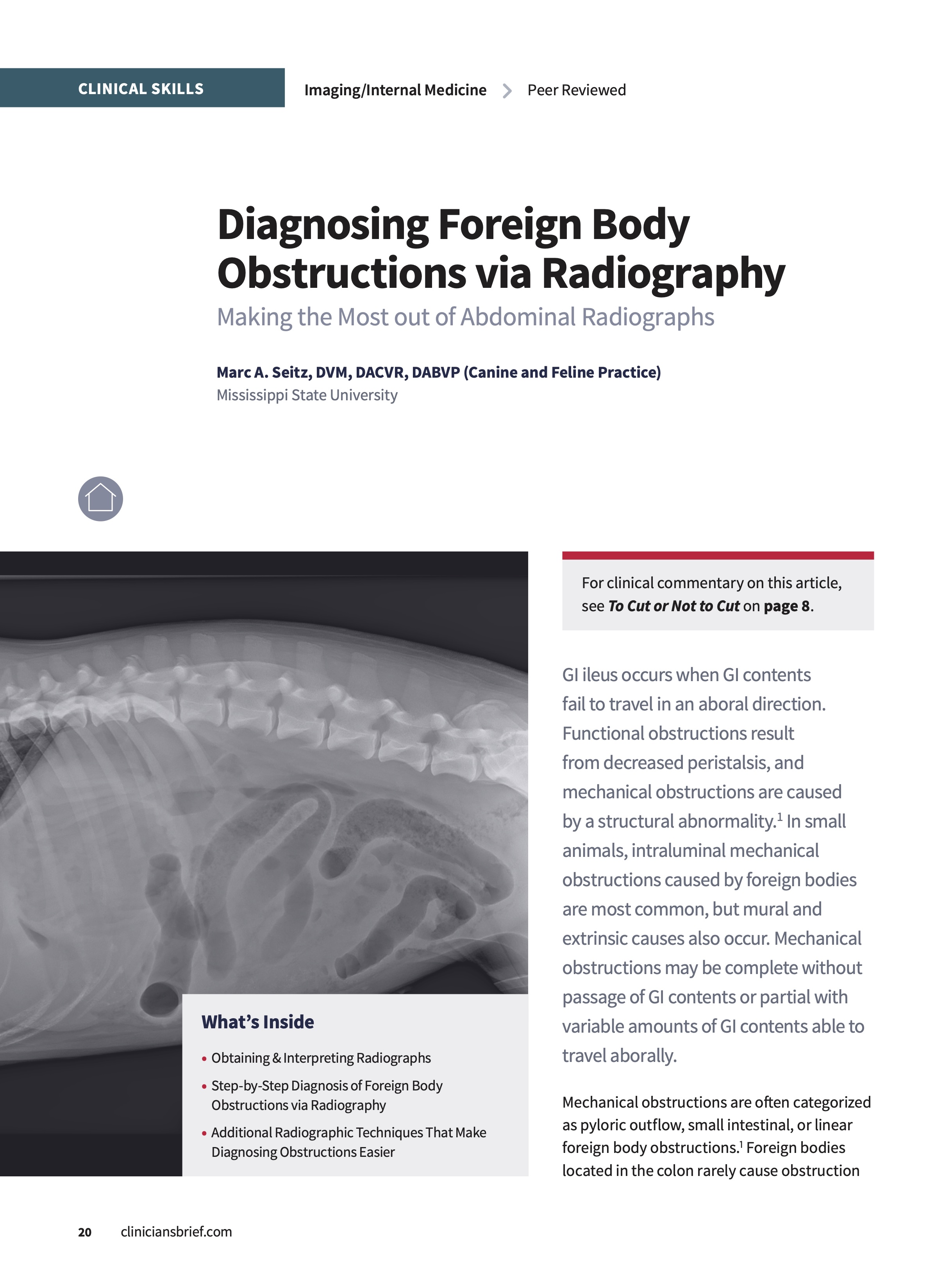 A Free E-Book For Modern Veterinarians