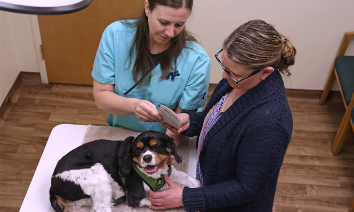 Tips for Designing & Implementing Discharge Sheets