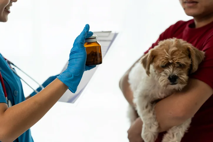 Person in exam gloves holding brown glass pill bottle up to another person holding a quiet dog.