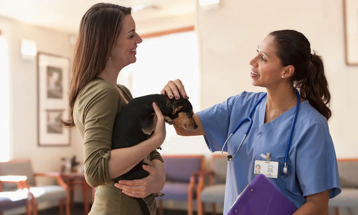 A veterinarian in scrubs interacts with a woman holding a small dog in a veterinary clinic waiting area. The veterinarian smiles while gently petting the dog, creating a warm and welcoming atmosphere.