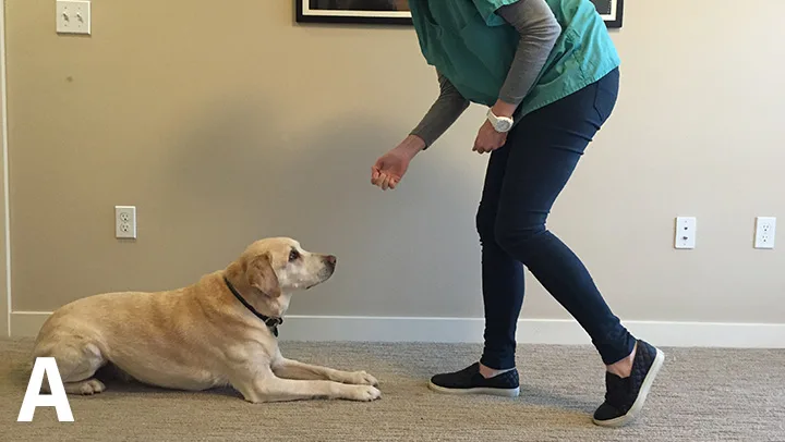 selected slide image