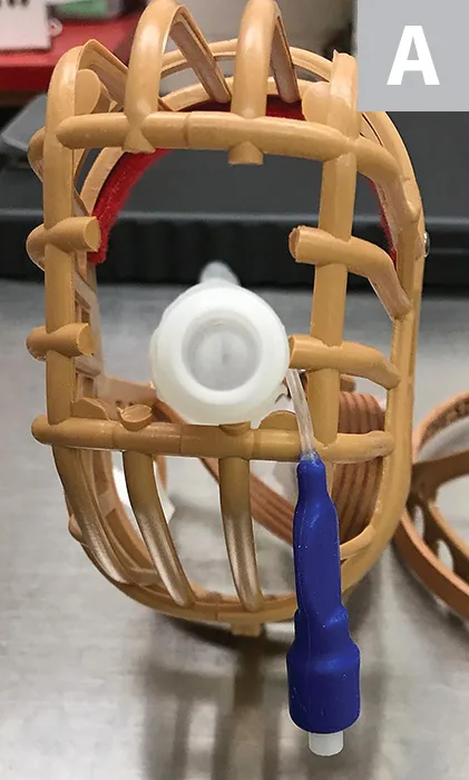 Demonstrating placement of endotracheal tube through basket muzzle