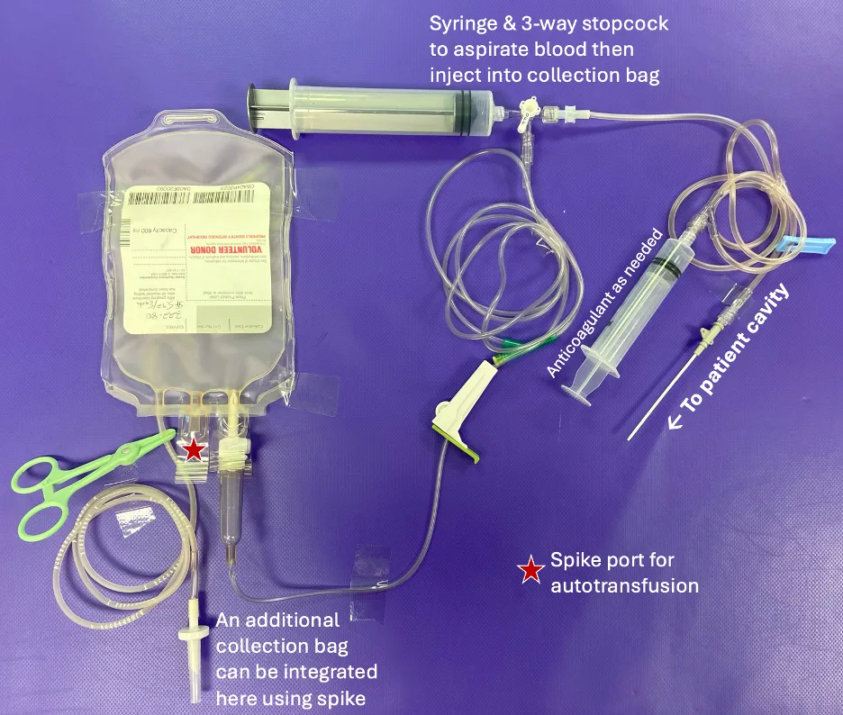 Equipment needed for a transfusion circuit.