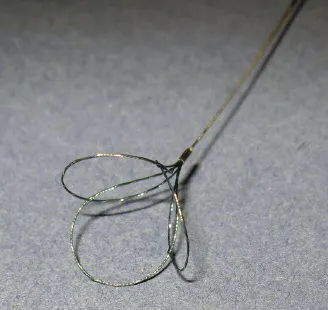 selected slide image