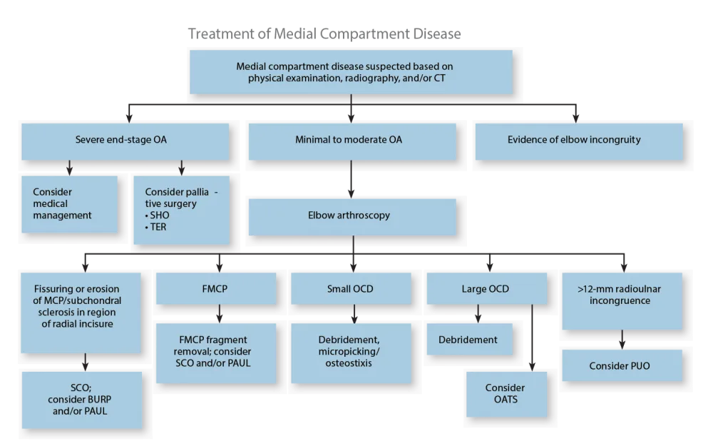 Diagnostic flowchart illustrating decision pathways to take when treating medial compartment disease.