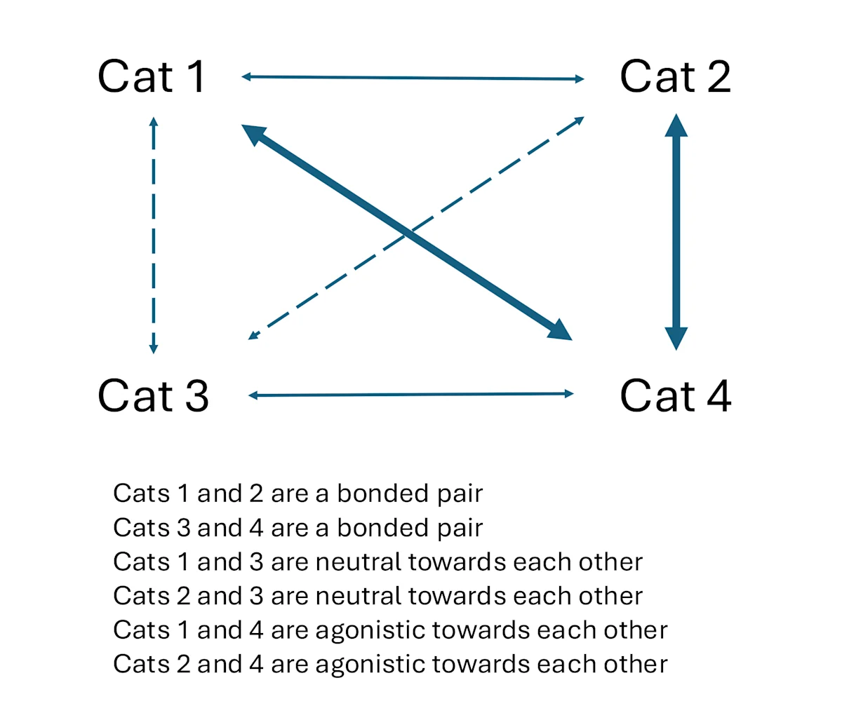 Lines showing the relationship among cats in a household.